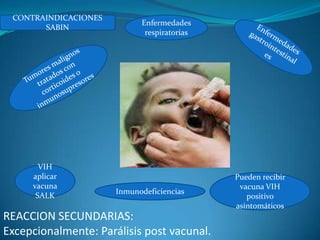CONTRAINDICACIONES
                            Enfermedades
       SABIN
                             respiratorias




       VIH
     aplicar                                 Pueden recibir
     vacuna                                   vacuna VIH
                      Inmunodeficiencias
      SALK                                      positivo
                                             asintomáticos
REACCION SECUNDARIAS:
Excepcionalmente: Parálisis post vacunal.
 