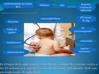 CONTRAINDICACIONES   linfomas                  Reacción
                                    HIV
       BCG                                    cutánea en
                                              aplicación


                     inmunoglobulinas          RN menor
  leucemia                                      de 2kg


 Fiebre 38                                     TX
  grados                                  inmunosupresor


                                              radiaciones
 transfusiones

                                               Agentes
  antimetabolitos                            alquilantes
 