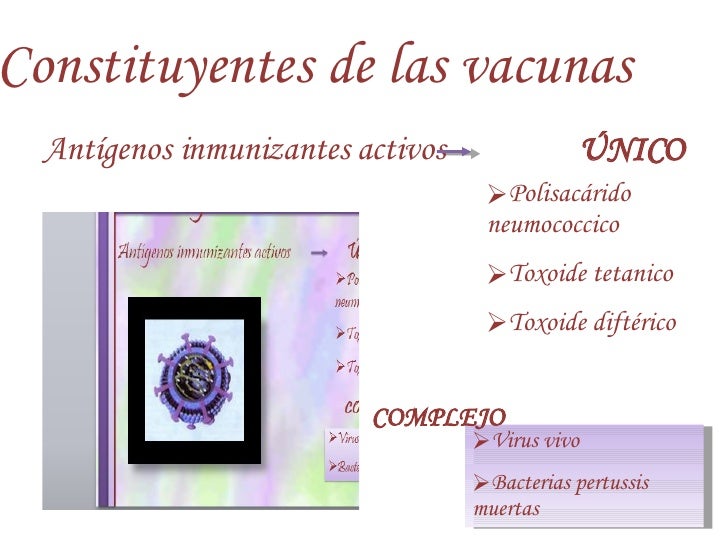 inmunizaciones-19-728.jpg