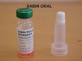 SABIN ORAL
 