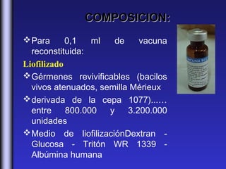 COMPOSICION:
 Para      0,1   ml   de    vacuna
  reconstituida:
Liofilizado
 Gérmenes revivificables (bacilos
  vivos atenuados, semilla Mérieux
 derivada de la cepa 1077)...…
  entre     800.000  y    3.200.000
  unidades
 Medio de liofilizaciónDextran -
  Glucosa - Tritón WR 1339 -
  Albúmina humana
 