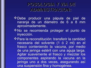 POSOLOGIA Y VIA DE
          ADMINISTRACION:
 Debe producir una pápula de piel de
  naranja de un diámetro de 6 a 8 mm
  aproximadamente.
 No se recomienda proteger el punto de
  inyección.
 Para la reconstitución: transferir la cantidad
  necesaria del solvente (1 ó 2 ml) en el
  frasco conteniendo la vacuna, por medio
  de una jeringa estéril con una aguja larga.
  Agitar suavemente el frasco y mezclar los
  componentes aspirando la vacuna en la
  jeringa uno a dos veces, asegurando así
  una suspensión fina y homogénea.
 
