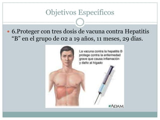 Objetivos Específicos

 6.Proteger con tres dosis de vacuna contra Hepatitis
 “B” en el grupo de 02 a 19 años, 11 meses, 29 días.
 