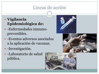 Líneas de acción

 Vigilancia
    Epidemiológica de:
   -Enfermedades inmuno-
    prevenibles.
   -Eventos adversos asociados
    a la aplicación de vacunas.
   -Investigación.
   -Laboratorio de salud
    pública.
 