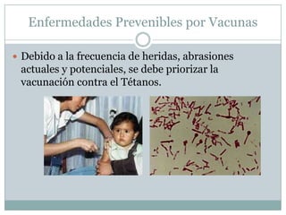 Enfermedades Prevenibles por Vacunas

 Debido a la frecuencia de heridas, abrasiones
 actuales y potenciales, se debe priorizar la
 vacunación contra el Tétanos.
 