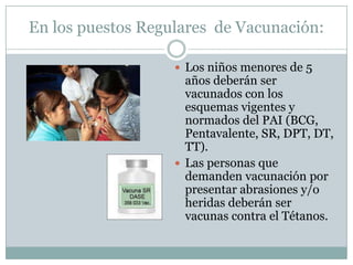 En los puestos Regulares de Vacunación:

                    Los niños menores de 5
                     años deberán ser
                     vacunados con los
                     esquemas vigentes y
                     normados del PAI (BCG,
                     Pentavalente, SR, DPT, DT,
                     TT).
                    Las personas que
                     demanden vacunación por
                     presentar abrasiones y/o
                     heridas deberán ser
                     vacunas contra el Tétanos.
 