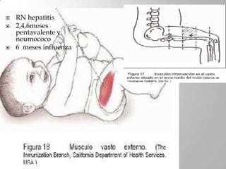    RN hepatitis
   2,4,6meses
    pentavalente y
    neumococo
   6 meses influenza
 