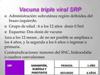  Administración: subcutánea región deltoidea del
   brazo izquierdo.
 Grupo de edad : 6 a los 12 años dosis 0.5ml

 Esquema: Dos dosis de vacuna

1era a los 12 meses , de no ser posible se ampliara a
los 4 años, y la segunda a los 6 años o ingresar a
primaria.
Contraindicaciones: tumores del SNC, hidrocefalia
o cuadros convulsiones
 