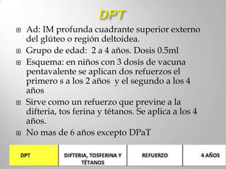   Ad: IM profunda cuadrante superior externo
    del glúteo o región deltoidea.
   Grupo de edad: 2 a 4 años. Dosis 0.5ml
   Esquema: en niños con 3 dosis de vacuna
    pentavalente se aplican dos refuerzos el
    primero s a los 2 años y el segundo a los 4
    años
   Sirve como un refuerzo que previne a la
    difteria, tos ferina y tétanos. Se aplica a los 4
    años.
   No mas de 6 años excepto DPaT
 