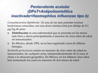 Corynebacterium diphtheriae : Es una de las más potentes toxinas
bacterianas conocidas, con una dosis mínima letal por debajo de 0.1
μg/kg de peso.
   Distribución: es una enfermedad que se presenta en los meses
    más fríos y afecta principalmente a menores de cinco años de edad
    no inmunizados.
   En México, desde 1991, no se han registrado casos de difteria
    faríngea.
Bordetella pertussis:es común en menores de cinco años de edad no
inmunizados, de cualquier zona, independientemente de la raza, el
clima o la situación geográfica. En México, en los últimos cinco años
han aumentado los casos en menores de dos meses de edad .
 