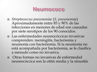    Streptococcus pneumoniae (S. pneumoniae)
    Aproximadamente entre 85 y 90% de las
    infecciones en menores de edad son causadas
    por siete serotipos de los 90 conocidos.
   Las enfermedades neumocóccicas invasivas
    comprenden: meningitis, bacteriemia y
    neumonía con bacteriemia. Si la neumonía no
    está acompañada por bacteriemia, se le clasifica
    a menudo como no invasiva.
    Otras formas no invasivas de enfermedad
    neumocóccica son la otitis media y la sinusitis
 