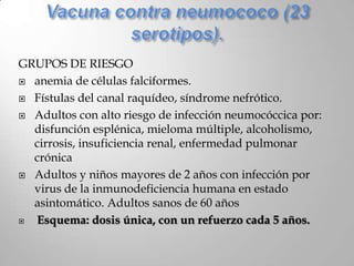 GRUPOS DE RIESGO
 anemia de células falciformes.

 Fístulas del canal raquídeo, síndrome nefrótico.

 Adultos con alto riesgo de infección neumocóccica por:
  disfunción esplénica, mieloma múltiple, alcoholismo,
  cirrosis, insuficiencia renal, enfermedad pulmonar
  crónica
 Adultos y niños mayores de 2 años con infección por
  virus de la inmunodeficiencia humana en estado
  asintomático. Adultos sanos de 60 años
 Esquema: dosis única, con un refuerzo cada 5 años.
 
