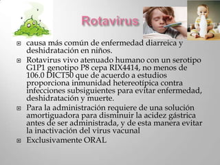    causa más común de enfermedad diarreica y
    deshidratación en niños.
   Rotavirus vivo atenuado humano con un serotipo
    G1P1 genotipo P8 cepa RIX4414, no menos de
    106.0 DICT50 que de acuerdo a estudios
    proporciona inmunidad hetereotípica contra
    infecciones subsiguientes para evitar enfermedad,
    deshidratación y muerte.
   Para la administración requiere de una solución
    amortiguadora para disminuir la acidez gástrica
    antes de ser administrada, y de esta manera evitar
    la inactivación del virus vacunal
   Exclusivamente ORAL
 