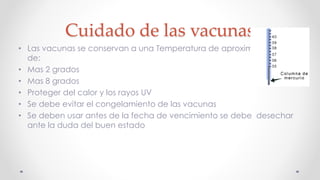 Cuidado de las vacunas
• Las vacunas se conservan a una Temperatura de aproximadamente
de:
• Mas 2 grados
• Mas 8 grados
• Proteger del calor y los rayos UV
• Se debe evitar el congelamiento de las vacunas
• Se deben usar antes de la fecha de vencimiento se debe desechar
ante la duda del buen estado
 