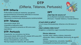 DTP
(Difteria, Tétanos, Pertussis)
DTP: Difteria
•Enfermedad causada por exotoxina, que genera
pseudomembranas firmemente adheridas en mucosas
digestivas y respiratorias superiores.
•Vacunación ha disminuido drásticamente morbimortalidad.
DTP: Tétanos
•Vacunación desde 1974
•Imposible erradicación total
•Tétanos neonatal se presenta en RD como casos
esporádicos.
DTP: Pertussis
•Coqueluche, tos convulsiva o tos ferina.
•Vacunación desde 1954 como DP y desde 1974 como DTP.
•Inmunidad disminuye con los años.
•Brotes interepidémicos cada 2-3 años
•No hay traspaso Ac maternos, RN susceptible.
DPT
¿Qué tipo de vacuna es?
Es una Bacteria Inactivada Celulas Enteras
(Pertusis) + Toxoide Tetánico y Toxoide Diftérico
¿A qué edad se aplica?
2, 4 y 6 meses (Pentavalente)y refuerzos a los 18 meses y 4
años.
¿Qué cuidados debe tener?
Analgésico o antipirético según necesidad (Paracetamol)
Efectos Adversos
•Locales: dolor, edema, eritema, induración
•Generales: fiebre, irritabilidad, disminución de apetito,
vómitos
•Severos: hipertermia, convulsión, hipotonía,
encefalopatía (componente pertussis).
 