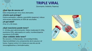 TRIPLE VIRAL
(Sarampión, Rubéola, Paperas)
¿Qué tipo de vacuna es?
Está compuesta por virus vivos atenuados.
¿Contra qué protege?
Contra sarampión, rubéola y parotiditis (paperas). Induce
anticuerpos protectores en 95% de vacunados.
¿A qué edad?
A los 12 y 18 meses.
¿Qué reacciones puede tener?
5 –10 días post administración: fiebre moderada (5-15%),
exantema (5%), adenopatía en cuello, trombocitopenia
transitoria (1/25.000).
¿Que cuidados debe tener?
No vacunar a: Embarazadas, Inmunodeprimidos,
Hipersensibilidad a los componentes de la vacuna o al
huevo. Esperar entre 3-11 meses en caso de uso de
inmunoglobulinas o hemoderivados.
 