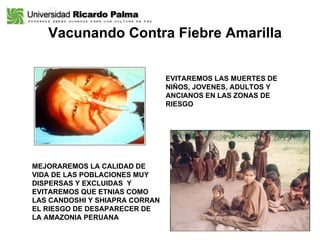 Vacunando Contra Fiebre Amarilla EVITAREMOS LAS MUERTES DE NIÑOS, JOVENES, ADULTOS Y ANCIANOS EN LAS ZONAS DE RIESGO MEJORAREMOS LA CALIDAD DE VIDA DE LAS POBLACIONES MUY DISPERSAS Y EXCLUIDAS  Y EVITAREMOS QUE ETNIAS COMO LAS CANDOSHI Y SHIAPRA CORRAN EL RIESGO DE DESAPARECER DE LA AMAZONIA PERUANA 