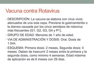 Vacuna contra Rotavirus 
• DESCRIPCIÓN: La vacuna se elabora con virus vivos 
atenuados de una sola cepa. Previene la gastroenteritis o 
la diarrea causada por los cinco serotipos de rotavirus 
más frecuentes (G1, G2, G3, G4 y P1). 
• GRUPO DE EDAD: Menores de 1 año de edad. 
• VIA DE ADMINISTRACIÓN Y DOSIS: Oral. Dosis de 
1.5ml. 
• ESQUEMA: Primera dosis: 2 meses, Segunda dosis: 4 
meses. Deben de trascurrir 2 meses entre la primera y la 
segunda dosis, como mínimo 4 semanas. Edad máxima 
de aplicación es de 6 meses con 29 días. 
 