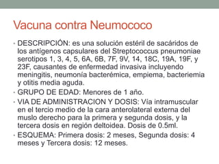 Vacuna contra Neumococo 
• DESCRIPCIÓN: es una solución estéril de sacáridos de 
los antígenos capsulares del Streptococcus pneumoniae 
serotipos 1, 3, 4, 5, 6A, 6B, 7F, 9V, 14, 18C, 19A, 19F, y 
23F, causantes de enfermedad invasiva incluyendo 
meningitis, neumonía bacterémica, empiema, bacteriemia 
y otitis media aguda. 
• GRUPO DE EDAD: Menores de 1 año. 
• VIA DE ADMINISTRACION Y DOSIS: Vía intramuscular 
en el tercio medio de la cara anterolateral externa del 
muslo derecho para la primera y segunda dosis, y la 
tercera dosis en región deltoidea. Dosis de 0.5ml. 
• ESQUEMA: Primera dosis: 2 meses, Segunda dosis: 4 
meses y Tercera dosis: 12 meses. 
 