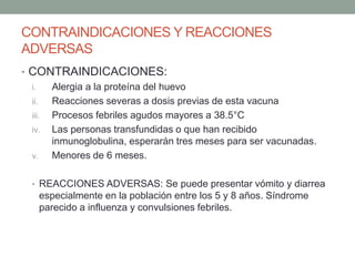 CONTRAINDICACIONES Y REACCIONES 
ADVERSAS 
• CONTRAINDICACIONES: 
i. Alergia a la proteína del huevo 
ii. Reacciones severas a dosis previas de esta vacuna 
iii. Procesos febriles agudos mayores a 38.5°C 
iv. Las personas transfundidas o que han recibido 
inmunoglobulina, esperarán tres meses para ser vacunadas. 
v. Menores de 6 meses. 
• REACCIONES ADVERSAS: Se puede presentar vómito y diarrea 
especialmente en la población entre los 5 y 8 años. Síndrome 
parecido a influenza y convulsiones febriles. 
 