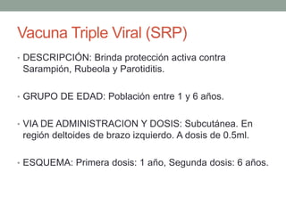Vacuna Triple Viral (SRP) 
• DESCRIPCIÓN: Brinda protección activa contra 
Sarampión, Rubeola y Parotiditis. 
• GRUPO DE EDAD: Población entre 1 y 6 años. 
• VIA DE ADMINISTRACION Y DOSIS: Subcutánea. En 
región deltoides de brazo izquierdo. A dosis de 0.5ml. 
• ESQUEMA: Primera dosis: 1 año, Segunda dosis: 6 años. 
 