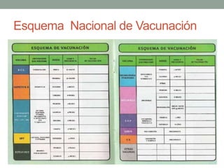 Esquema Nacional de Vacunación 
 