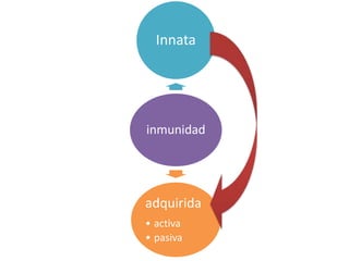 inmunidad
Innata
adquirida
• activa
• pasiva
 