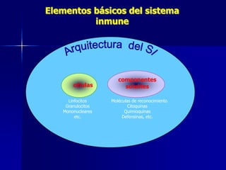 Elementos básicos del sistema 
inmune 
células 
componentes 
solubles 
Moléculas de reconocimiento 
Citoquinas 
Quimioquinas 
Defensinas, etc. 
Linfocitos 
Granulocitos 
Mononucleares 
etc. 
 