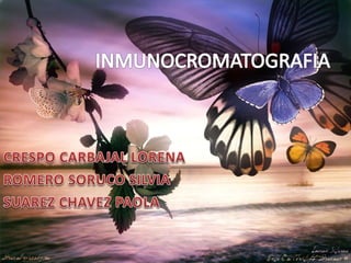Inmunocromatografia
