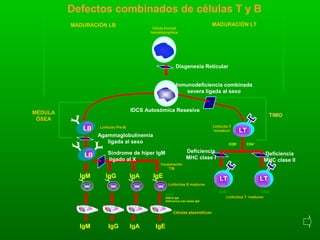 Inmunodef | PPT