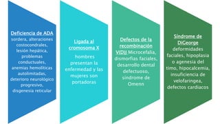 Inmunodeficiencia combinada severa (scid) | PPTX