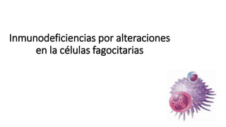 Inmunodeficiencias por alteraciones
en la células fagocitarias
 
