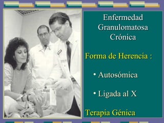 Enfermedad Granulomatosa Crónica Forma de Herencia :  Autosómica Ligada al X Terapia Génica 