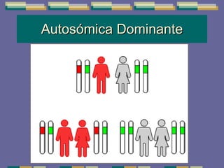 Autosómica Dominante 