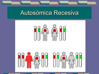Autosómica Recesiva 
