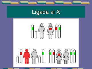 Ligada al X 