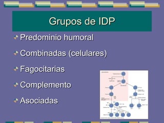Grupos de IDP Predominio humoral Combinadas (celulares) Fagocitarias Complemento Asociadas 
