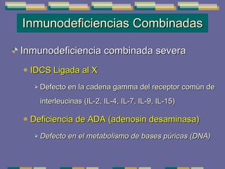 Inmunodeficiencias Combinadas Inmunodeficiencia combinada severa IDCS Ligada al X Defecto en la cadena gamma del receptor común de interleucinas (IL-2, IL-4, IL-7, IL-9, IL-15) Deficiencia de ADA (adenosin desaminasa) Defecto en el metabolismo de bases púricas (DNA) 