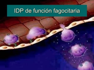 IDP de función fagocitaria 