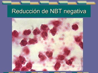 Reducción de NBT negativa 