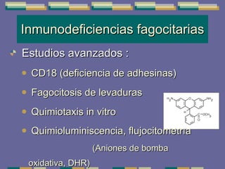 Inmunodeficiencias fagocitarias Estudios avanzados  : CD18 (deficiencia de adhesinas) Fagocitosis de levaduras Quimiotaxis  in vitro Quimioluminiscencia, flujocitometría  (Aniones de bomba oxidativa, DHR) 
