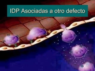 IDP Asociadas a otro defecto 