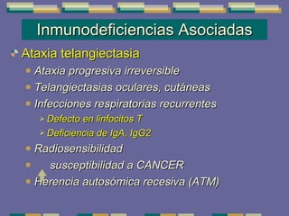 Inmunodeficiencias Asociadas Ataxia telangiectasia Ataxia progresiva irreversible  Telangiectasias oculares, cutáneas Infecciones respiratorias recurrentes Defecto en linfocitos T  Deficiencia de IgA, IgG2 Radiosensibilidad susceptibilidad a CANCER Herencia autosómica recesiva (ATM) 
