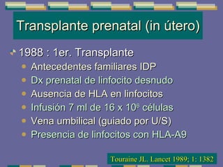 Transplante prenatal (in útero) 1988 : 1er. Transplante Antecedentes familiares IDP Dx prenatal de linfocito desnudo Ausencia de HLA en linfocitos Infusión 7 ml de 16 x 10 6  células Vena umbilical (guiado por U/S) Presencia de linfocitos con HLA-A9 Touraine JL. Lancet 1989; 1: 1382 