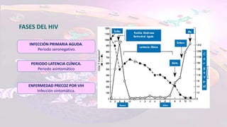 FASES DEL HIV
INFECCIÓN PRIMARIA AGUDA.
Periodo seronegativo.
PERIODO LATENCIA CLÍNICA.
Periodo asintomático
ENFERMEDAD PRECOZ POR VIH
Infección sintomática.
 