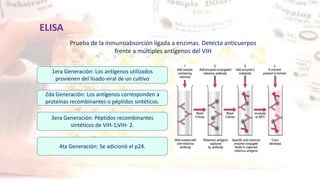4ta Generación: Se adicionó el p24.
Prueba de la inmunoabsorción ligada a enzimas. Detecta anticuerpos
frente a múltiples antígenos del VIH
1era Generación: Los antígenos utilizados
provienen del lisado viral de un cultivo
2da Generación: Los antígenos corresponden a
proteínas recombinantes o péptidos sintéticos.
3era Generación: Péptidos recombinantes
sintéticos de VIH-1,VIH- 2.
ELISA
 