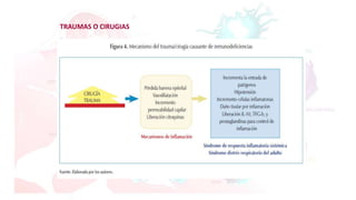 TRAUMAS O CIRUGIAS
 