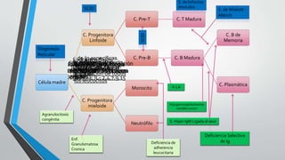 Inmunodeficiencias y vih | PPTX