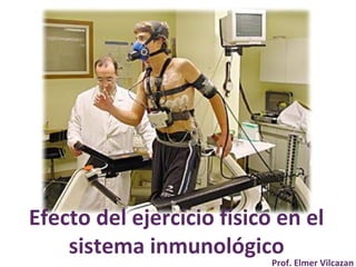 Efecto del ejercicio físico en el
sistema inmunológico
Prof. Elmer Vilcazan
 