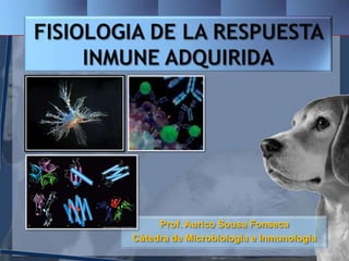 FISIOLOGIA DE LA RESPUESTA INMUNE ADQUIRIDA Prof. Aurico Sousa Fonseca Cátedra de Microbiología e Inmunología  